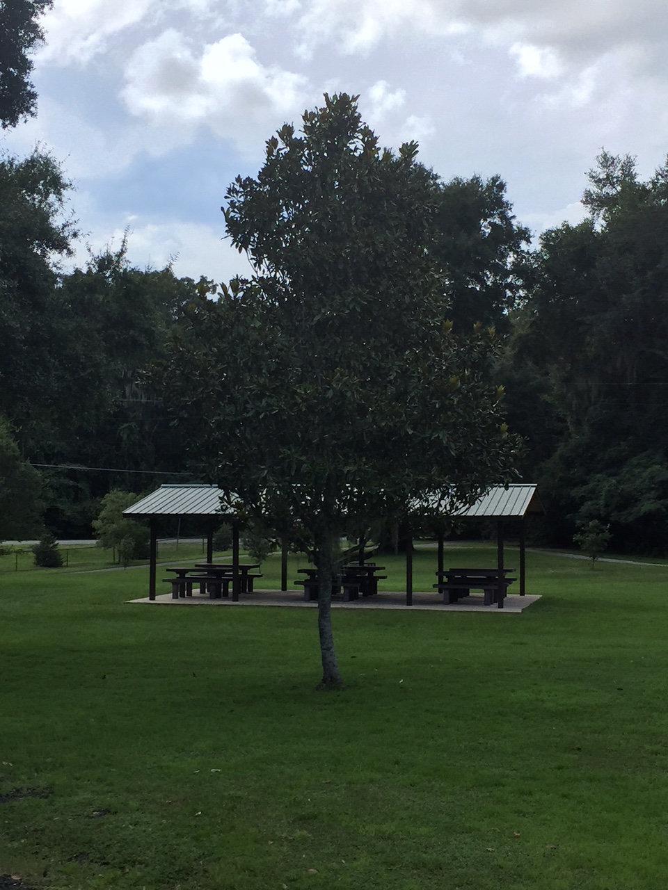 Are Dogs Allowed At Veterans Memorial Park